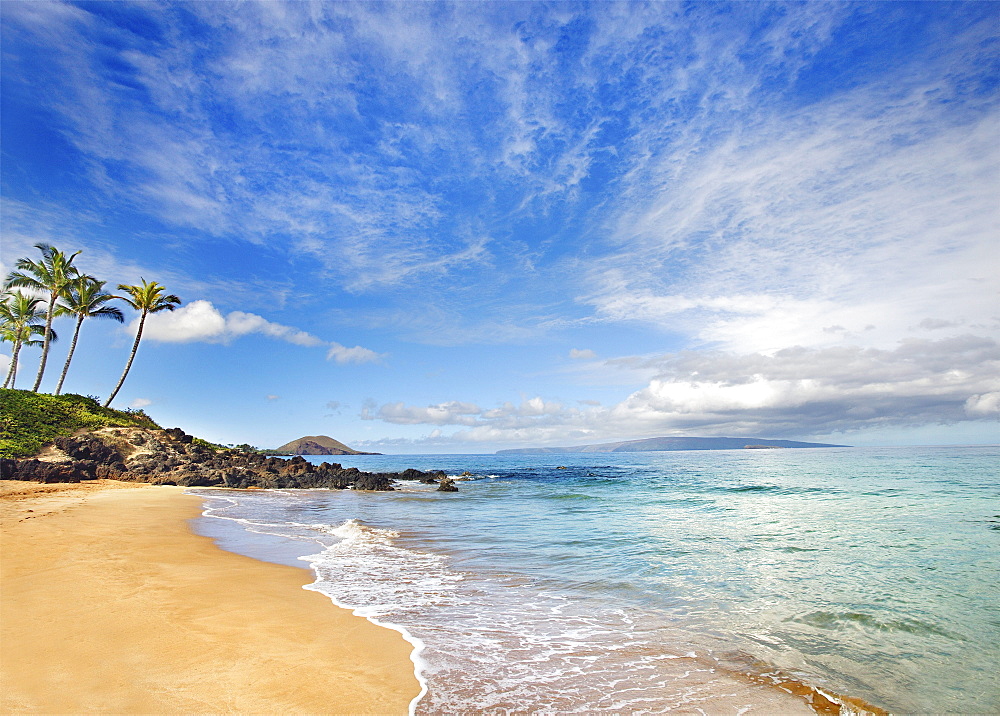 Hawaii, Maui, Makena, Secret Beach, Turquoise ocean with palm trees and sandy beach.