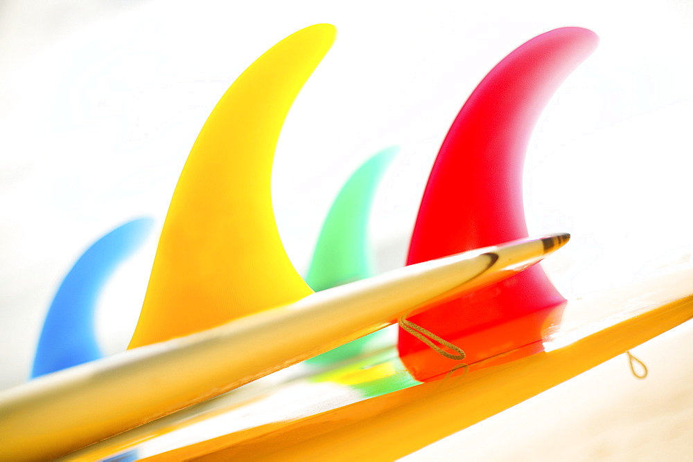 Colorful surfboards fins, bright sunny sky in background.