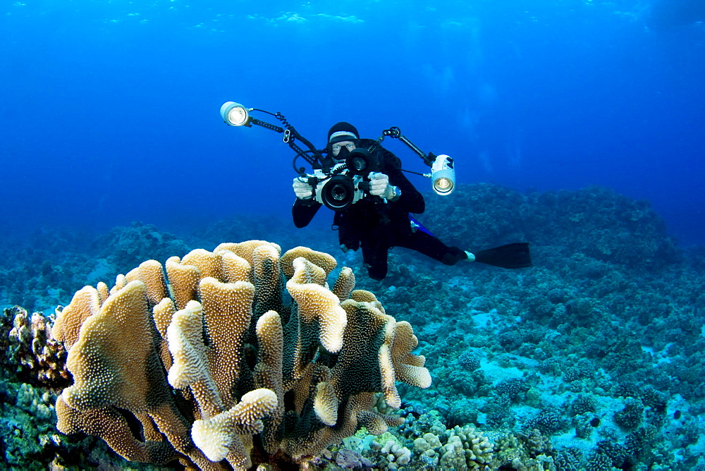 Hawaii, Big Island, Kona Coast, Photographer diver swims along ocean floor near coral.