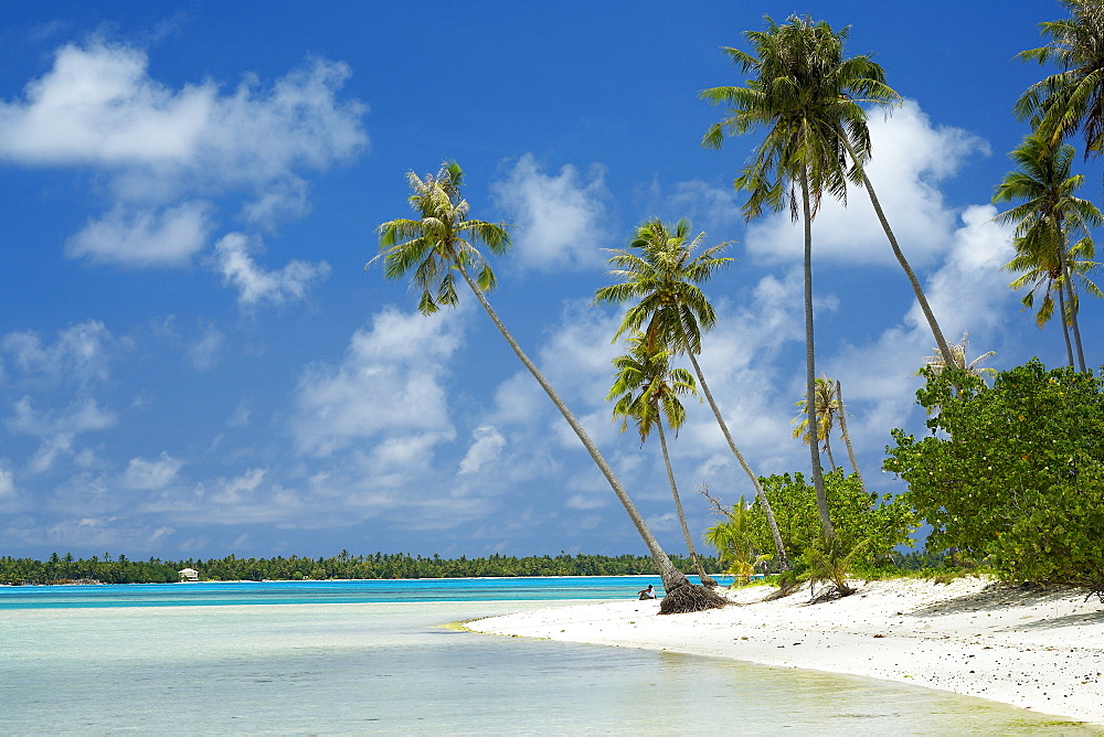 French Polynesia, Tahiti, Maupiti, lagoon beach with Palms trees and blue Sky.