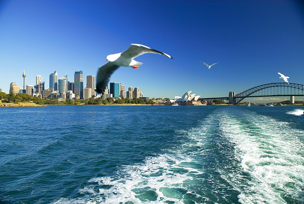 Australia, Sydney, View of Sydney Harbor from ferry.