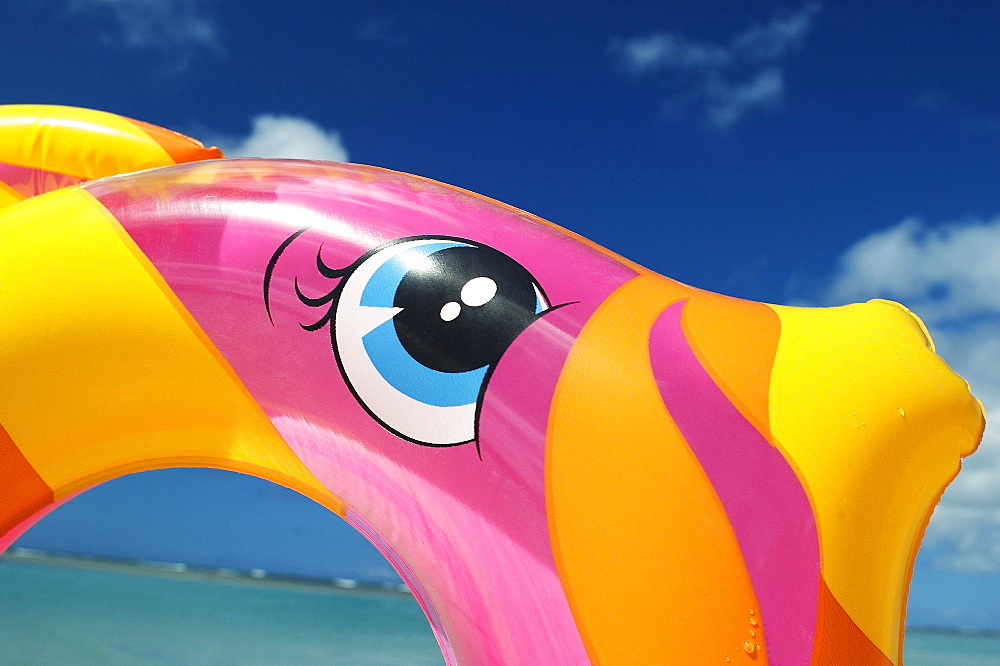 Inflatable fish ring in pink, yellow and orange, detail of face with ocean and sky.