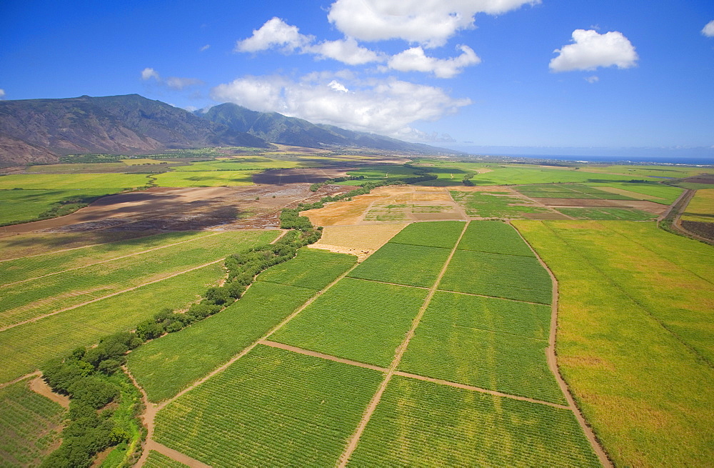 Hawaii, Maui, Aerial of inland fields.