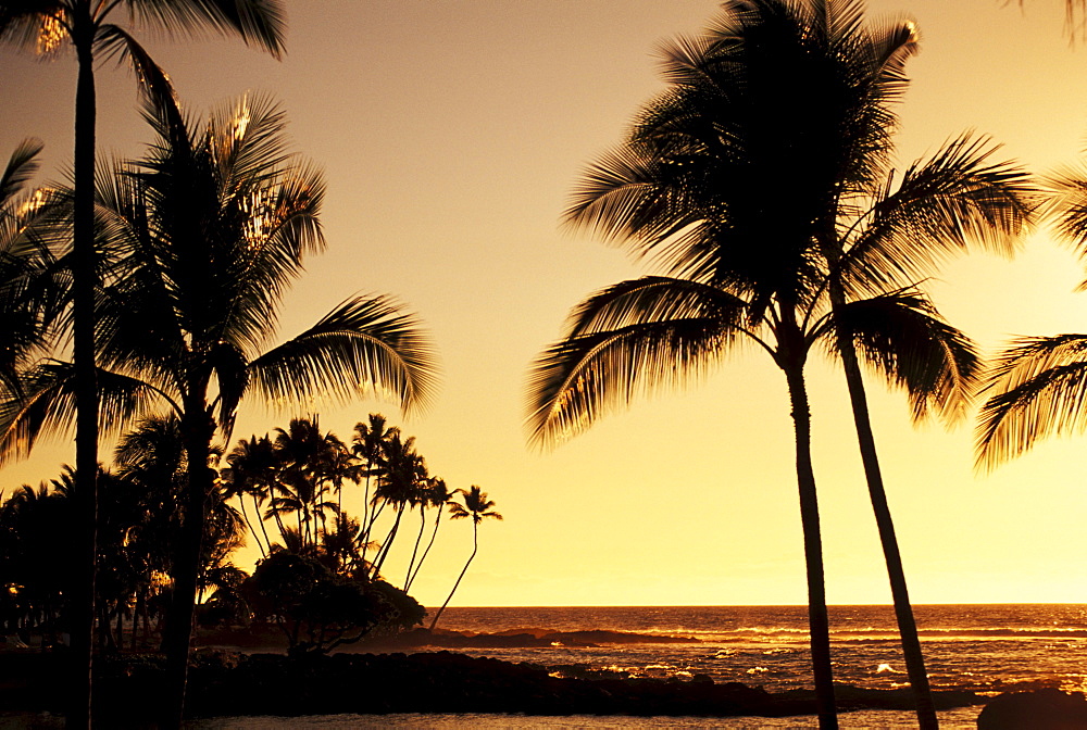 Hawaii, Big Island, Mauna Lani Resort, Ocean and silhouetted palm trees at sunset.
