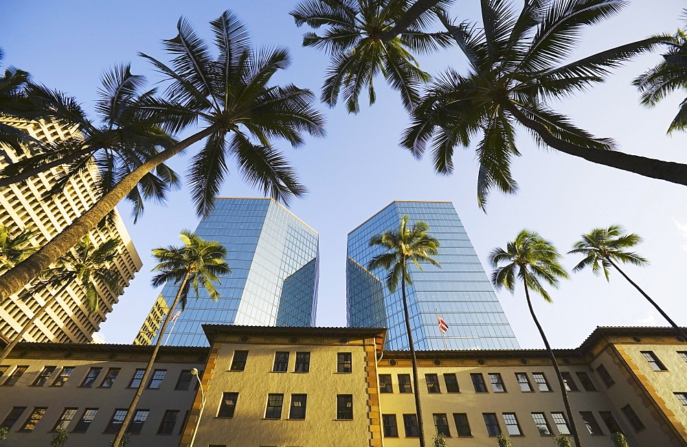 Hawaii, Oahu, Honolulu, Downtown with Dillingham Transportation building, other office buildings and palm trees.