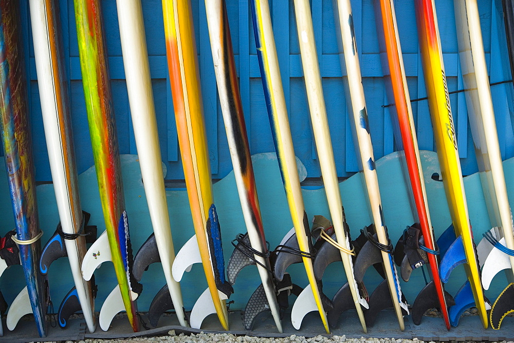 Row of surfboards lined up against a wall.