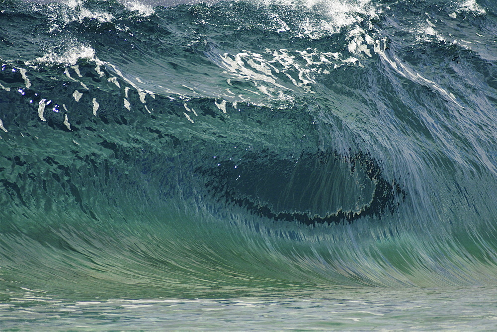 Hawaii, Oahu, North Shore, beautiful textures surface of a shorebreak wave about to crash.