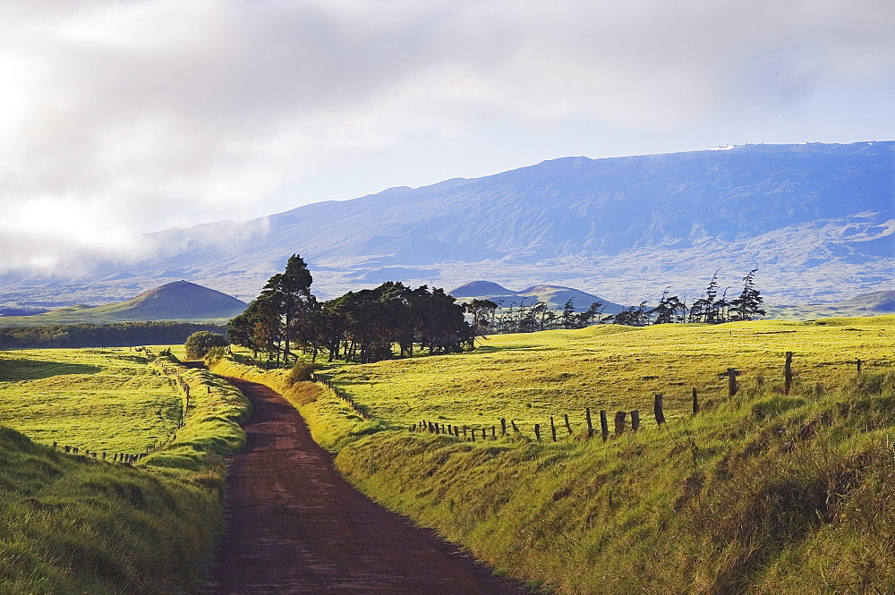 Hawaii, Big Island, Waimea, view of Kohala Mountain from Mana Road.