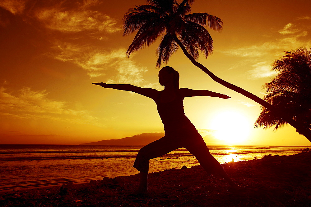 Hawaii, Maui, Olowalu, woman doing yoga by the ocean at sunset under palm tree.