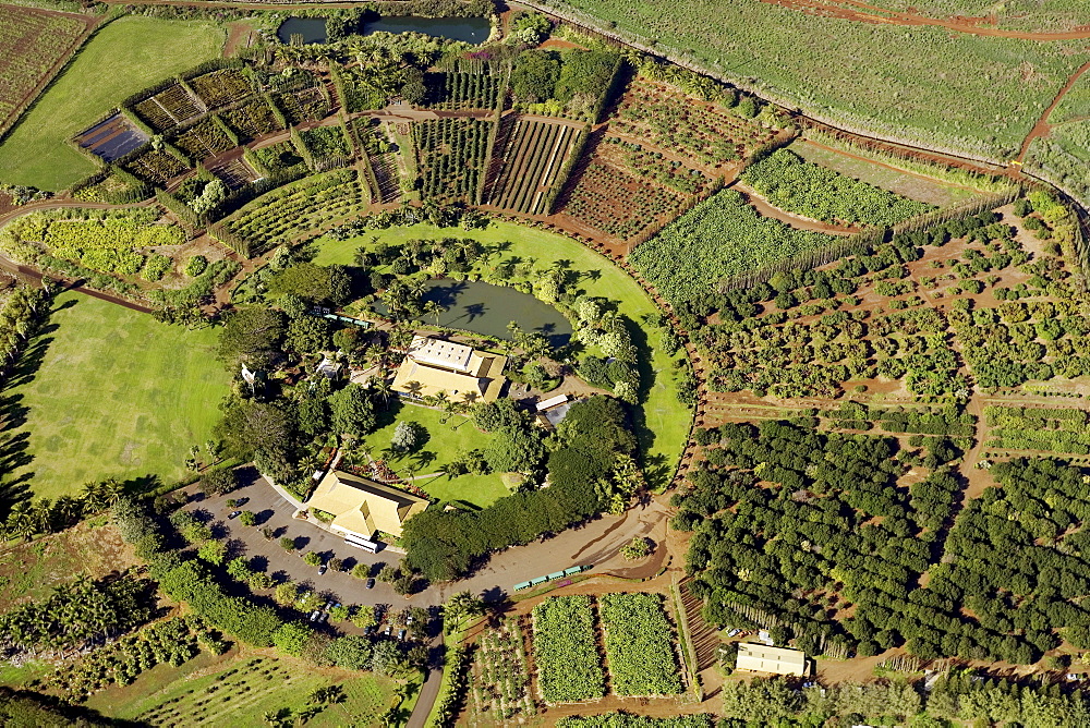 Hawaii, Maui, Waikapu, aerial of Maui Tropical Plantation.