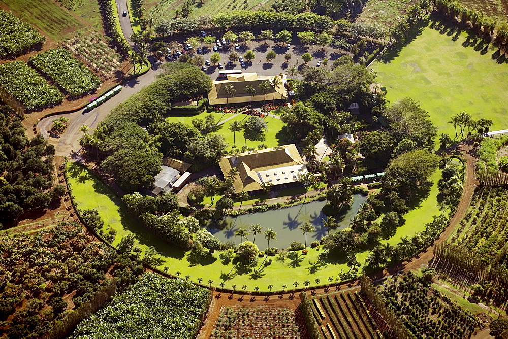 Hawaii, Maui, Waikapu, aerial of Maui Tropical Plantation.