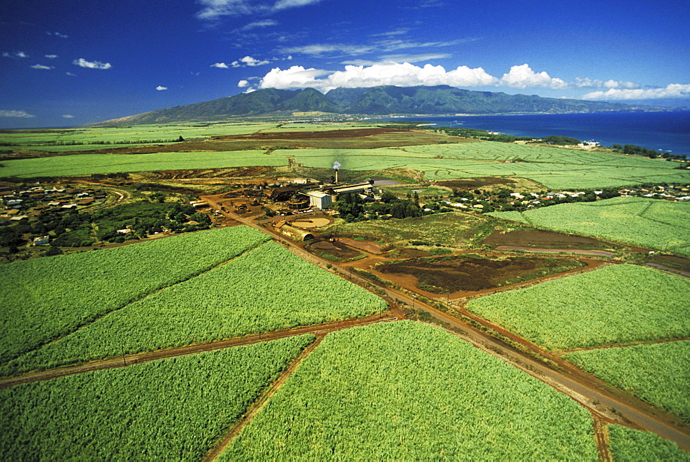 Hawaii, Maui, Paia Sugar Mill, Aerial of cane fields