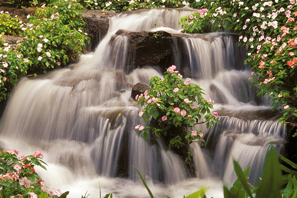 Hawaii, Lanai, Waterfall surrounded by impatiens