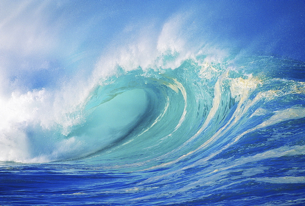 Hawaii, Oahu, North Shore, large wave curling breaking with white mist blowing back.