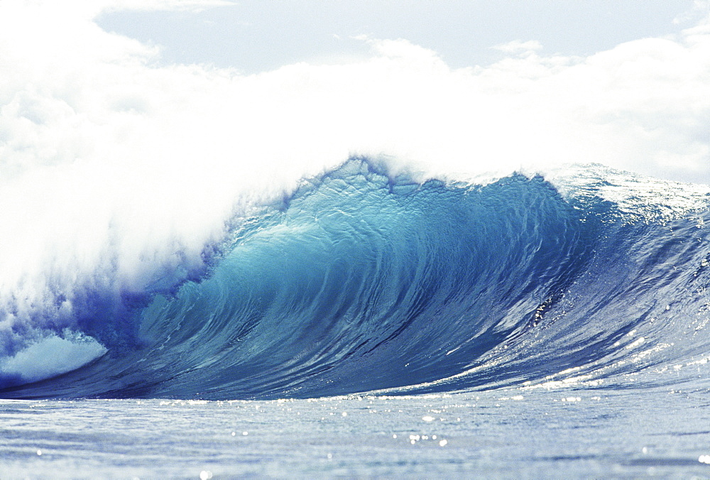 Hawaii, Oahu, Perfect wave at Pipeline.