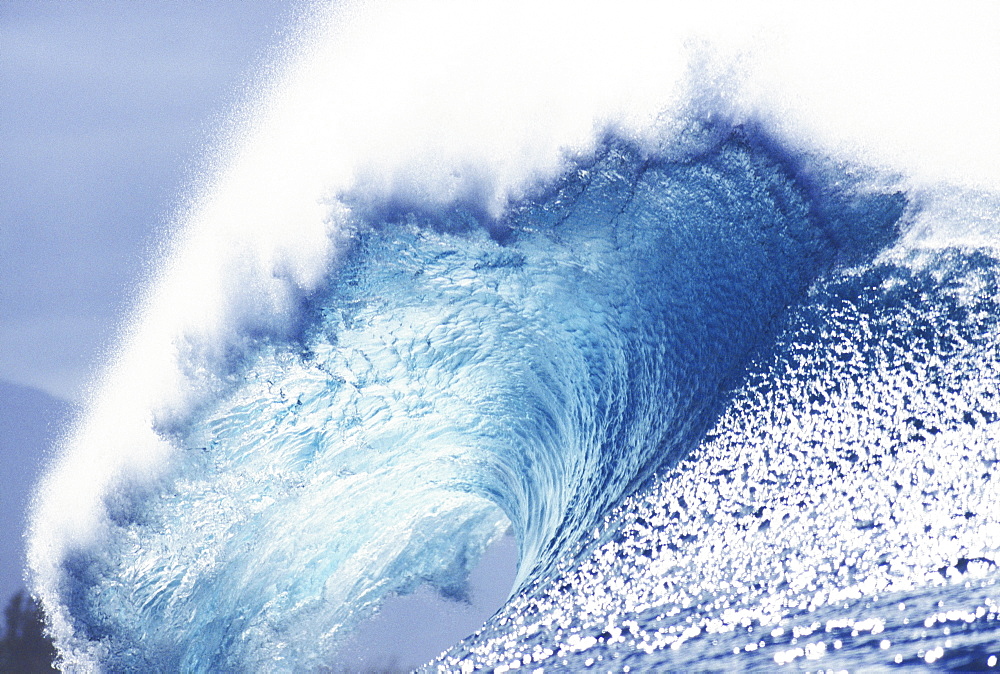 Hawaii, Oahu, Perfect wave at Pipeline.