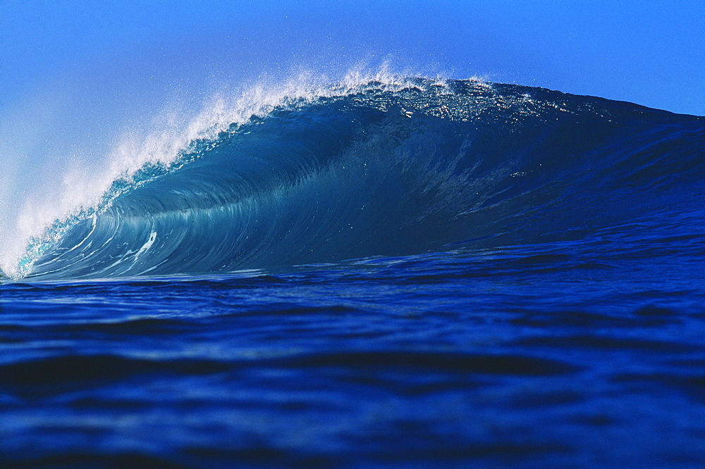 Hawaii, Oahu, Perfect wave at Pipeline.