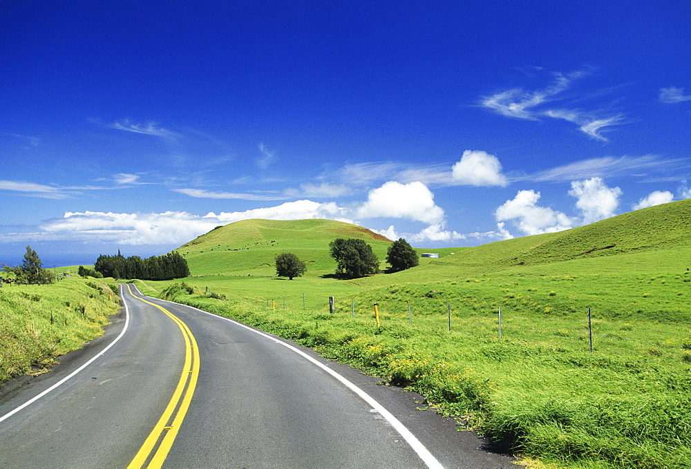 Hawaii, Big Island, Waimea ranch land, road curving through lush pasture.