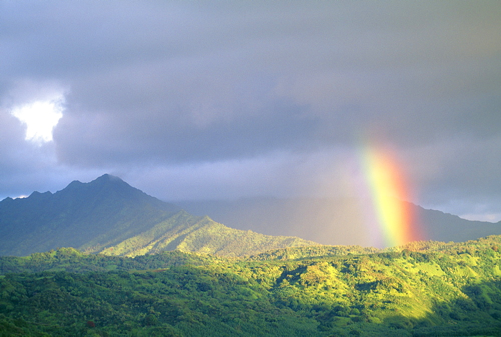 Hawaii, Kauai, end of rainbow lands in Hanalei Valley, large gray clouds