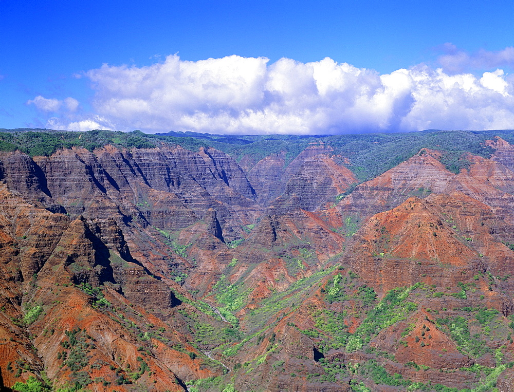 Hawaii, Kauai, Waimea Canyon The Grand Canyon of the Pacific