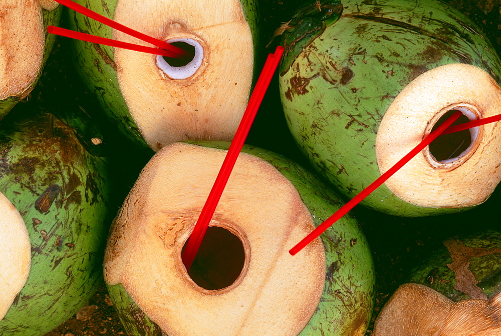 Guam, Agana, Top view of many fresh coconuts chopped open with straws in them