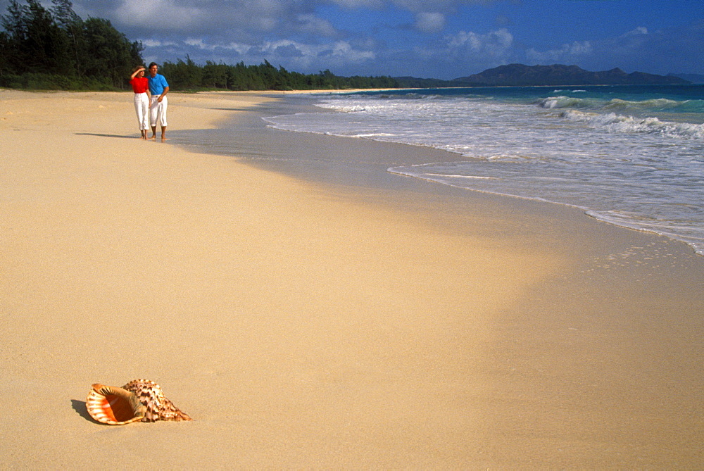 Hawaii, Couple walk on beach, triton trumpet shell in sand