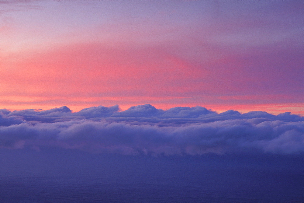 Sky at sunset with layer of puffy clouds beautiful purple and pink colors