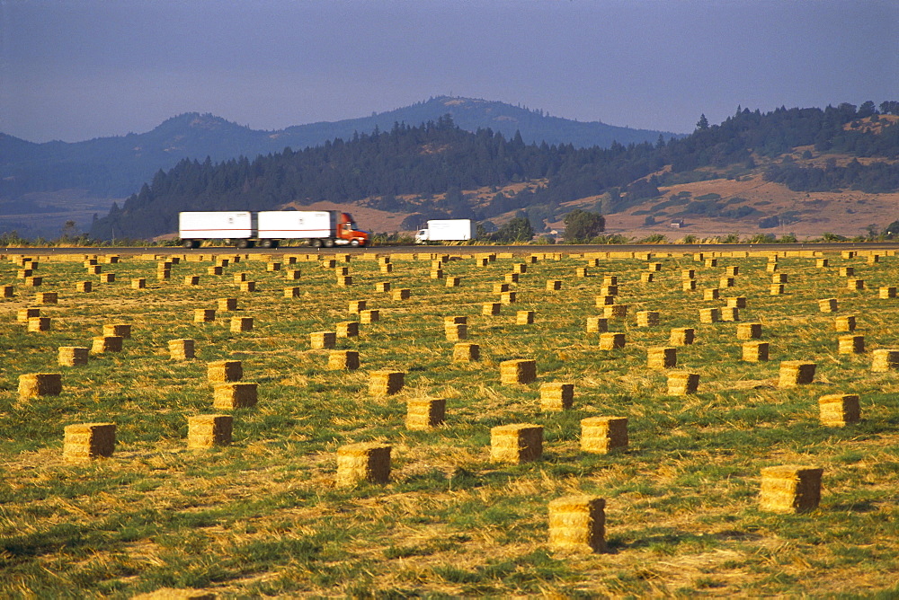 Oregon, Willamette Valley, bales of straw, trucks on Highway I-5 in background B1170