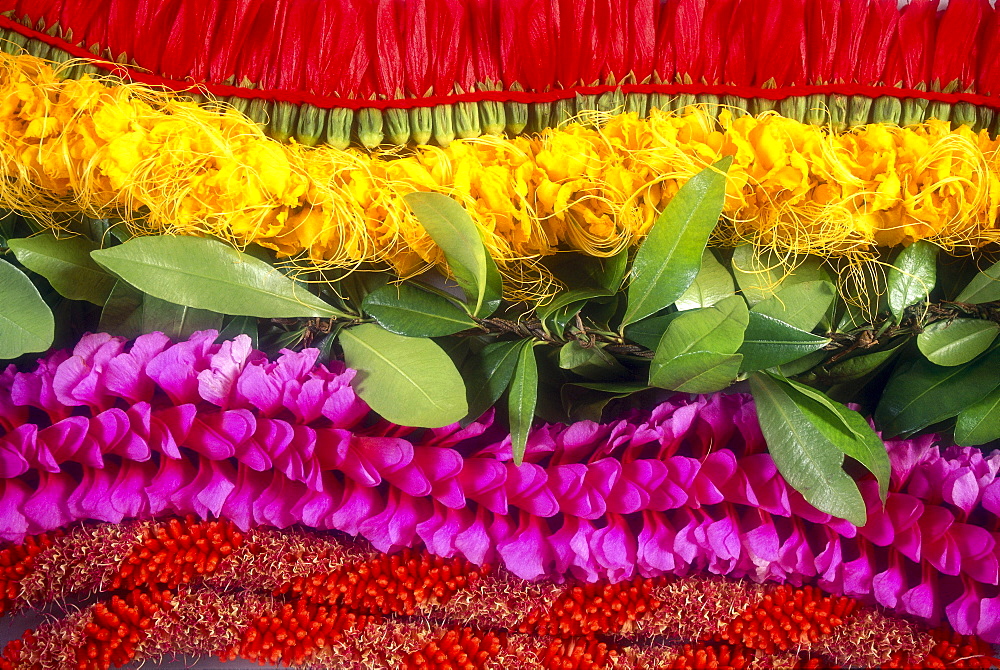 Hawaii, Bright and colorful flower leis B1593