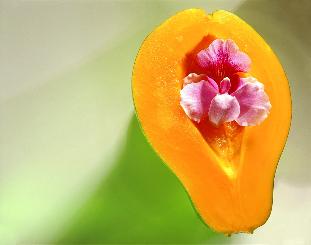 Papaya cut in half, orchid in tropical fruit, studio shot C1177