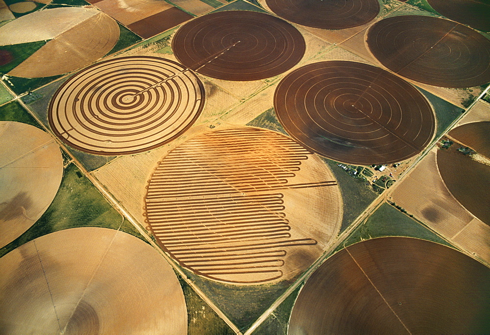 Agriculture - Aerial view of fallow center pivot irrigated circular agricultural fields / near Circle, Texas, USA.