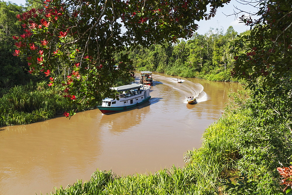 Klotok river boat on the Sekonyer River, Tanjung Puting National Park, Central Kalimantan, Borneo, Indonesia