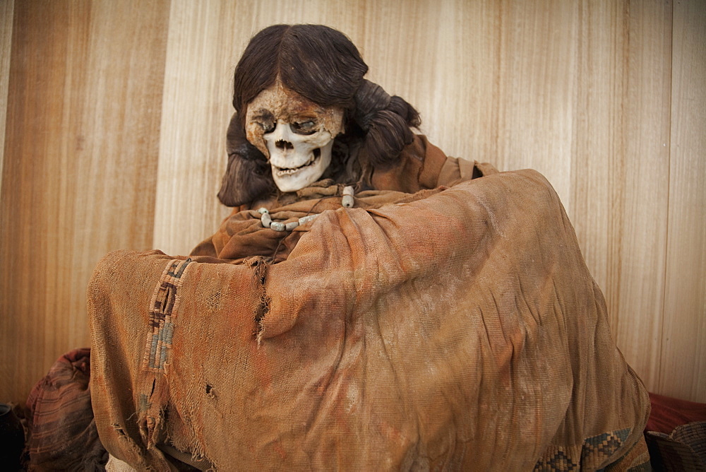 Mummy On Display At The Archaeological Museum R. P. Gustavo Le Paige, San Pedro De Atacama, Antofagasta Region, Chile