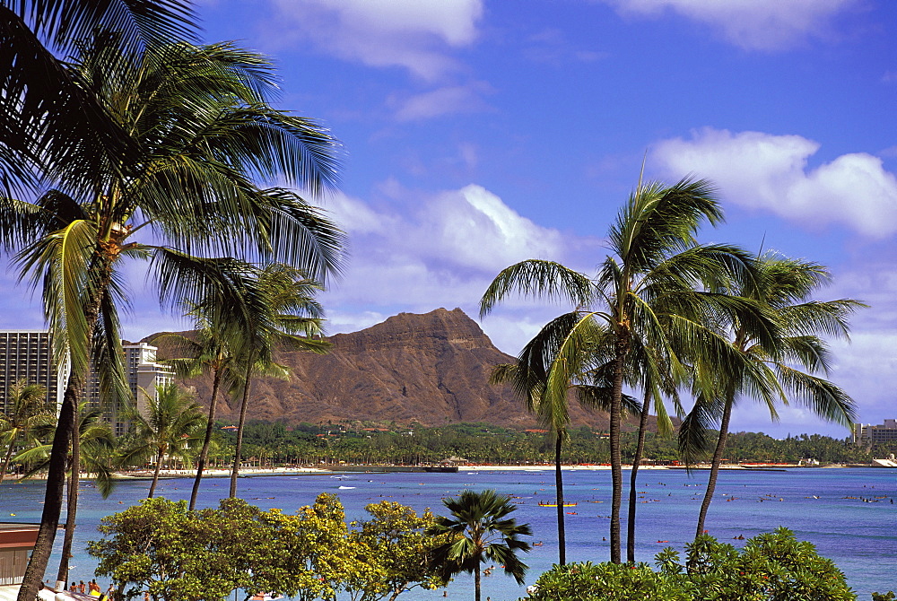 Hawaii, Oahu, Waikiki Trees And Palms Front, Ocean Activity Diamond Head Background Blue Sky White Puffy Clouds D1539