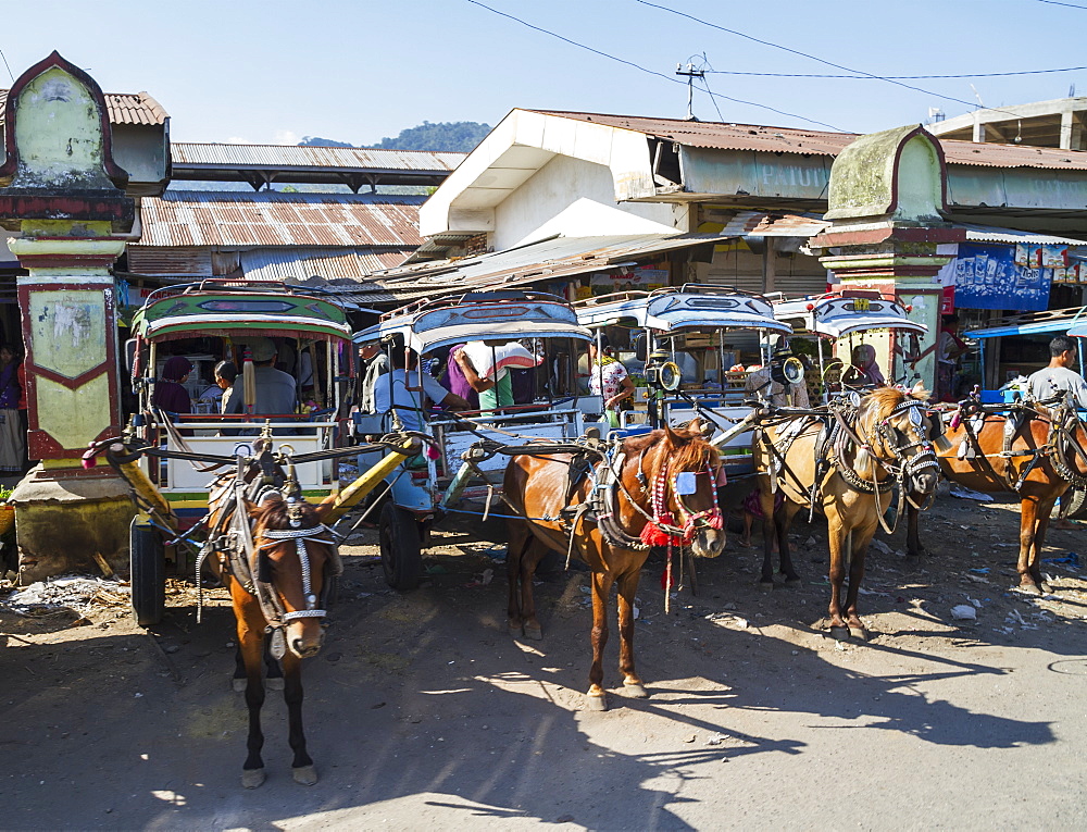Cidomos, horse-drawn carriages, Lombok, West Nusa Tenggara, Indonesia