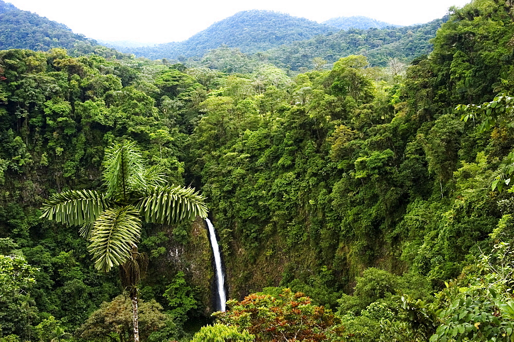 Waterfall Surrounded By Forest, La Fortuna, Costa Rica