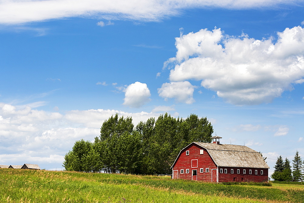 Old red wooden barn on a hill side with trees, blue sky and clouds, Alberta, Canada