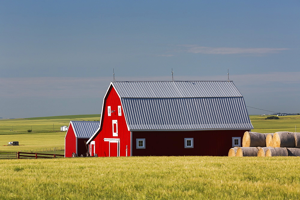 Bright red barn with round hay bales in green grain field with blue sky, Alberta, Canada