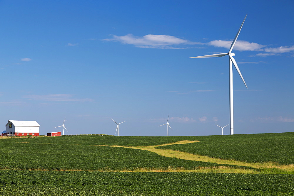 Wind turbines from the Elk Wind Energy Farm and a bean field with a barn in the distance, near Edgewood, Iowa, United States of America