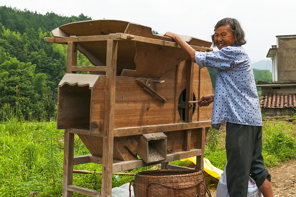 A woman works in the rice fields in a small village near to Wuyuan, Jiangxi province, China