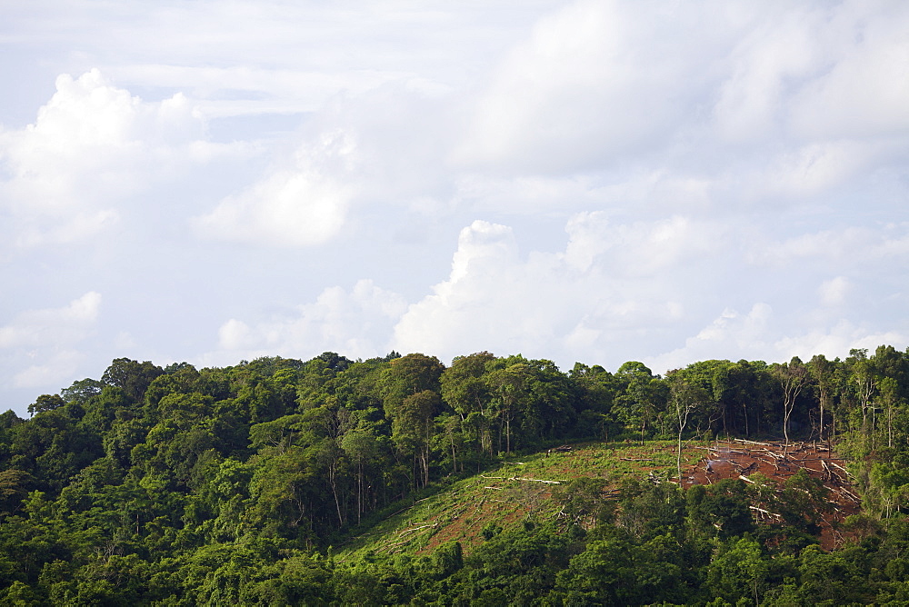 Deforestation, Mondulkiri, Cambodia