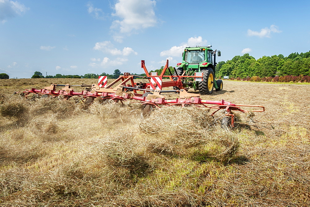 Tractor tedding hay, Sudlersville, Maryland, United States of America