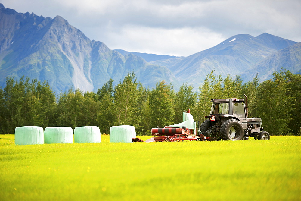 Haylage on a farm, Palmer, Alaska, United States of America