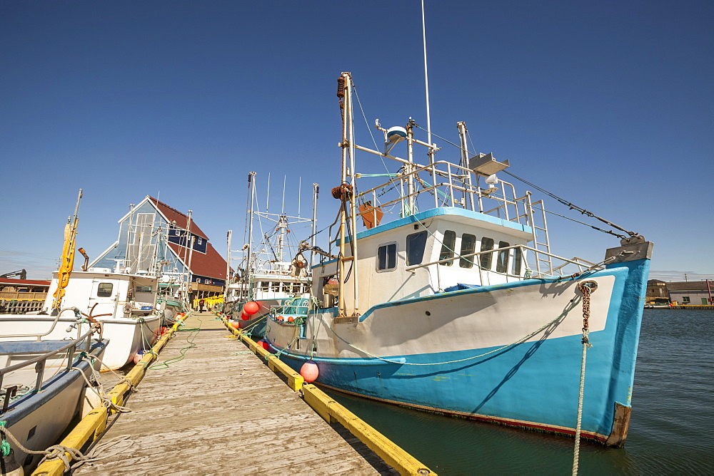 Fishing boats docked in a harbour along a wooden dock on the Atlantic coast; Newfoundland, Canada