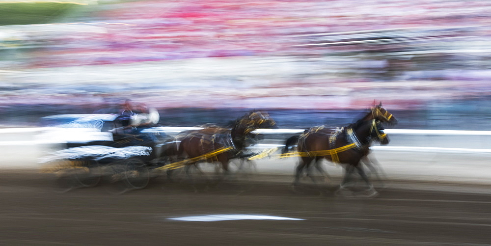 Motion blur of cowboys riding in a carriage behind a team of horses in front of spectators in the stands at the Calgary Stampede, Calgary, Alberta, Canada