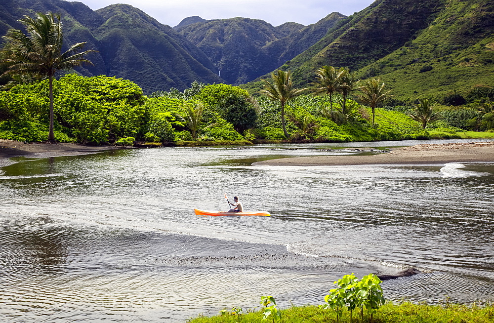 Kayaker paddles in a bay surrounded by tropical plants and mountains, Halawa Bay, Molokai, Hawaii, United States of America