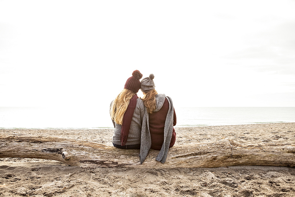 Two friends sitting on a log on Woodbine beach looking out to Lake Ontario, Toronto, Ontario, Canada