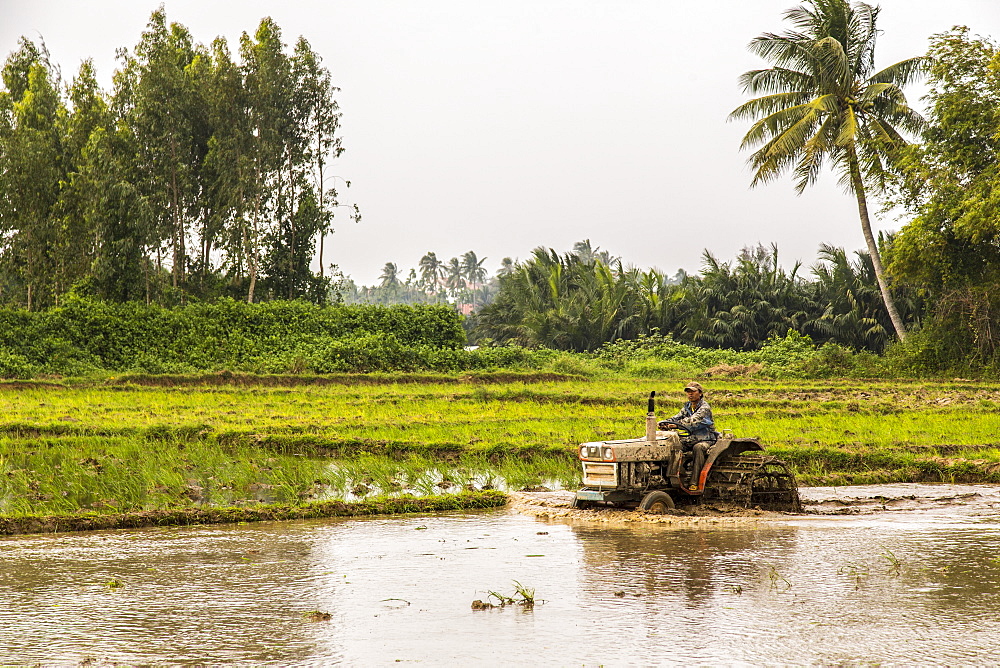 A farmer drives a tractor through a flooded field, Thanh pho Hoi An, Quang Nam, Vietnam