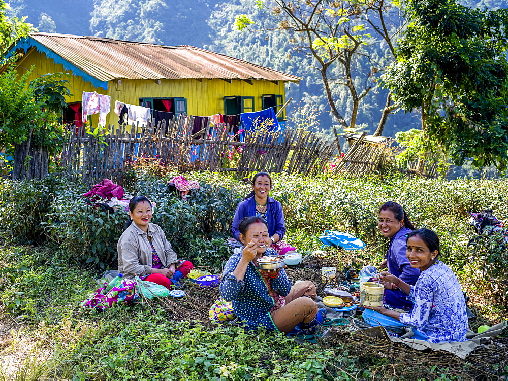 A group of young women eat a meal on the grass in the shade, West Bengal, India