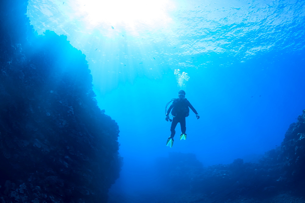 Diver outside of the dive site called First Cathedral off the island of Lanai, Hawaii, United States of America